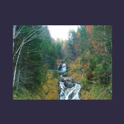 2012-10-20_Fall_AQUILA (314)b.JPG